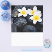 Prospectus 21,6 Cm X 24,94 Cm Frangipani flowers (Simple)