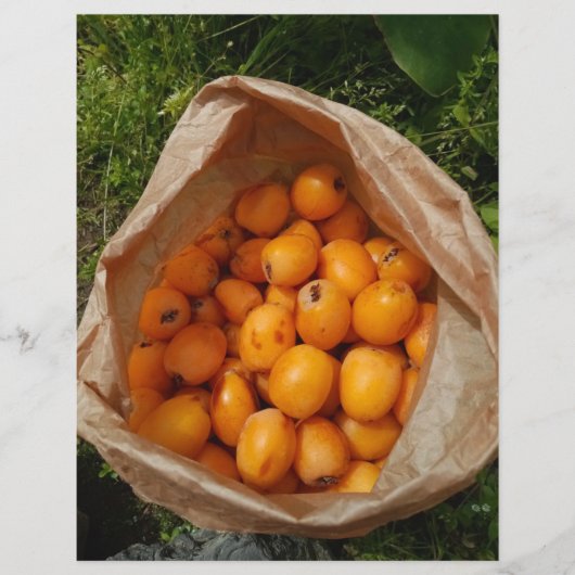 Prospectus 21,6 Cm X 24,94 Cm Fresh loquats (Devant)