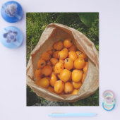 Prospectus 21,6 Cm X 24,94 Cm Fresh loquats (Simple)