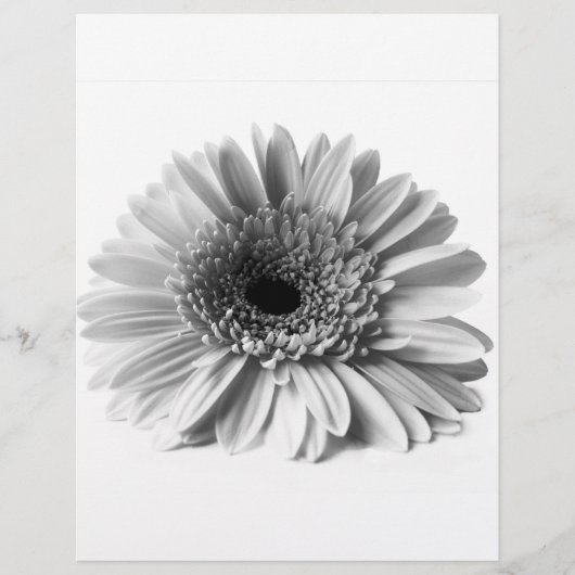 Prospectus 21,6 Cm X 24,94 Cm Gerbera (Devant)