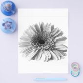 Prospectus 21,6 Cm X 24,94 Cm Gerbera (Simple)