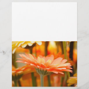 Prospectus 21,6 Cm X 24,94 Cm gerbera