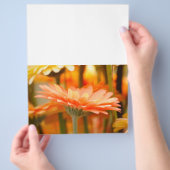 Prospectus 21,6 Cm X 24,94 Cm gerbera (main)