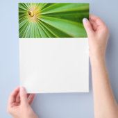 Prospectus 21,6 Cm X 24,94 Cm Green leaves background (main)