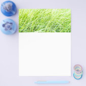 Prospectus 21,6 Cm X 24,94 Cm Herbe verte (Simple)