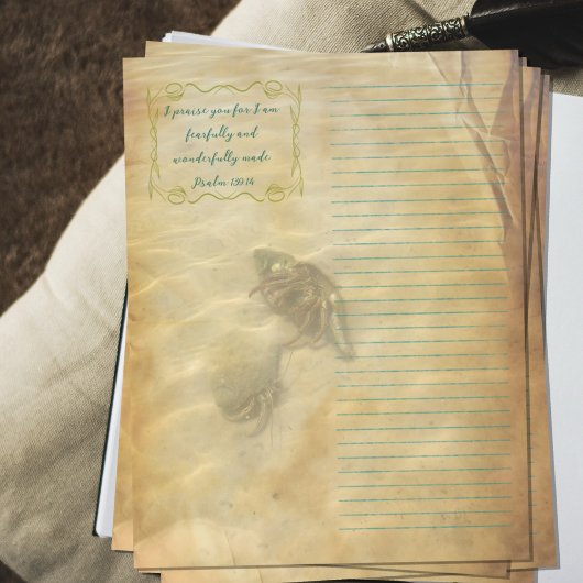 Prospectus 21,6 Cm X 24,94 Cm Hermit Crabs Scripture Scrapbook Paper