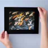 Prospectus 21,6 Cm X 24,94 Cm Koi Fish Flyer (main)