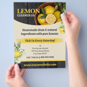 Prospectus 21,6 Cm X 24,94 Cm Lemons Flyer Template (main)