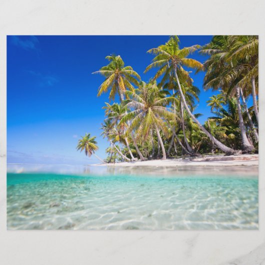 Prospectus 21,6 Cm X 24,94 Cm L'île tropicale (Devant)