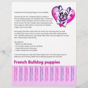 Prospectus 21,6 Cm X 24,94 Cm Longue lecture Flyer pour chiots Bouledogues Franç
