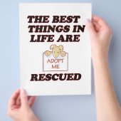 PROSPECTUS 21,6 CM X 24,94 CM M'ADOPTER (main)