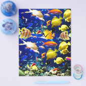 Prospectus 21,6 Cm X 24,94 Cm mer de poissons (Simple)