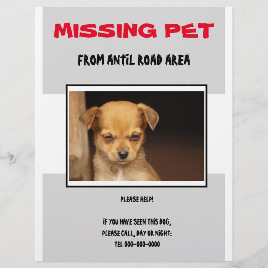 PROSPECTUS 21,6 CM X 24,94 CM MISSING PET 02 FLYER POSTER (Devant)