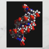 Prospectus 21,6 Cm X 24,94 Cm Modèle ADN double hélix (Devant)