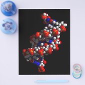 Prospectus 21,6 Cm X 24,94 Cm Modèle ADN double hélix (Simple)