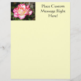 Prospectus 21,6 Cm X 24,94 Cm Modèle de dépliant Rose Fleur Rose Blanc Jaune