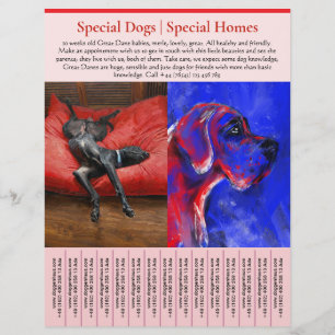 Prospectus 21,6 Cm X 24,94 Cm modèles de prospectus de chiots à vendre