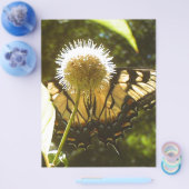 Prospectus 21,6 Cm X 24,94 Cm Monarque de juin (Simple)