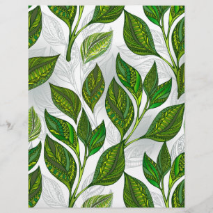 Prospectus 21,6 Cm X 24,94 Cm Motif sans couture avec Feuilles de thé vert