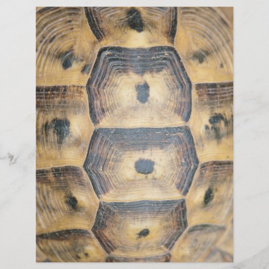 Prospectus 21,6 Cm X 24,94 Cm Motif Tortoise Shell (Devant)