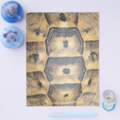 Prospectus 21,6 Cm X 24,94 Cm Motif Tortoise Shell (Simple)