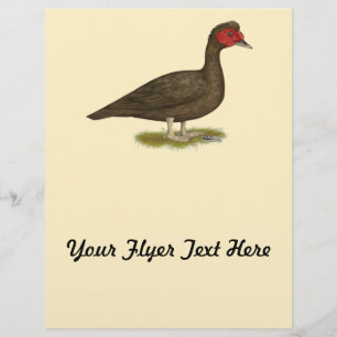 Prospectus 21,6 Cm X 24,94 Cm Muscovy Drake Chocolat