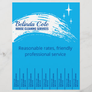 Prospectus 21,6 Cm X 24,94 Cm Nettoyage ménager Nettoyage de la lessive de netto