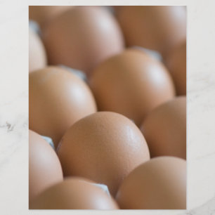 Prospectus 21,6 Cm X 24,94 Cm Oeufs