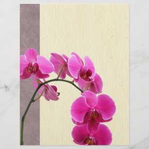Prospectus 21,6 Cm X 24,94 Cm Orchidée violette