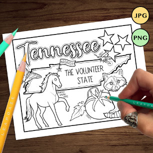 Prospectus 21,6 Cm X 24,94 Cm page de coloriage de la forme d'état et des faits