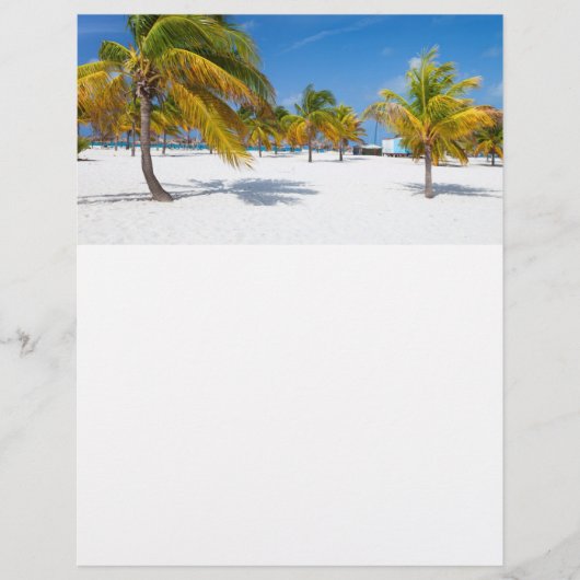 Prospectus 21,6 Cm X 24,94 Cm Palmiers sur la plage de l'océan (Devant)