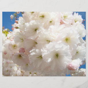 Prospectus 21,6 Cm X 24,94 Cm Papier Flyer Fleurs en Fleur Créez Votre Propre