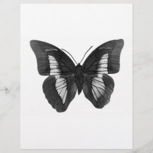 Prospectus 21,6 Cm X 24,94 Cm Papillon noir et blanc