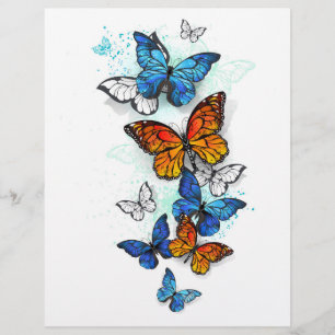 Prospectus 21,6 Cm X 24,94 Cm Papillons volants Morpho et Monarch