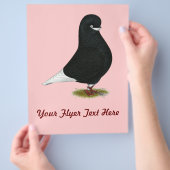 Prospectus 21,6 Cm X 24,94 Cm Paruline : Barbe LFCL (main)