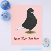 Prospectus 21,6 Cm X 24,94 Cm Paruline : Barbe LFCL (Simple)