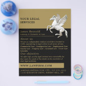 Prospectus 21,6 Cm X 24,94 Cm Pegasus, Services Juridiques Publicité Circulaire (Simple)