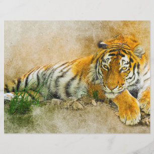 Prospectus 21,6 Cm X 24,94 Cm Peinture sur tigre