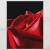 Prospectus 21,6 Cm X 24,94 Cm Perroquet Perruche (Devant)