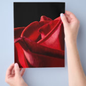 Prospectus 21,6 Cm X 24,94 Cm Perroquet Perruche (main)