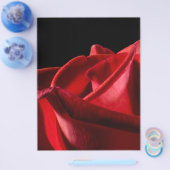 Prospectus 21,6 Cm X 24,94 Cm Perroquet Perruche (Simple)