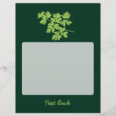 Prospectus 21,6 Cm X 24,94 Cm Persil (Dos)