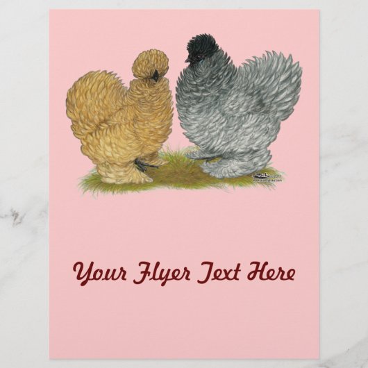 Prospectus 21,6 Cm X 24,94 Cm Petits poulets (Devant)