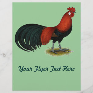 Prospectus 21,6 Cm X 24,94 Cm Phoenix :  Coq Rouge BB
