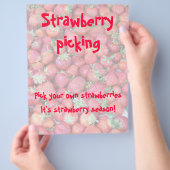 Prospectus 21,6 Cm X 24,94 Cm Picking de Strawberry (main)