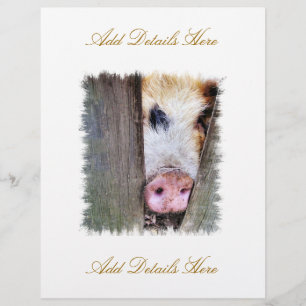 PROSPECTUS 21,6 CM X 24,94 CM PIÈCES