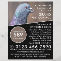Pigeon De Bois, Publicité Pour La Lutte Contre Les