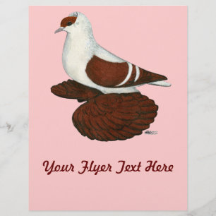 Prospectus 21,6 Cm X 24,94 Cm Pigeon Swallow :  Rouge Tête Pleine