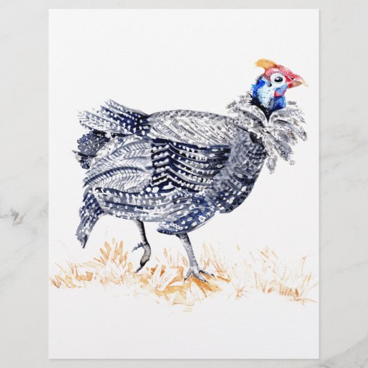 Prospectus 21,6 Cm X 24,94 Cm Pintade (Devant)
