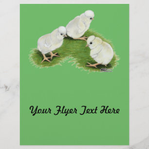 Prospectus 21,6 Cm X 24,94 Cm Polish Splash Chicks